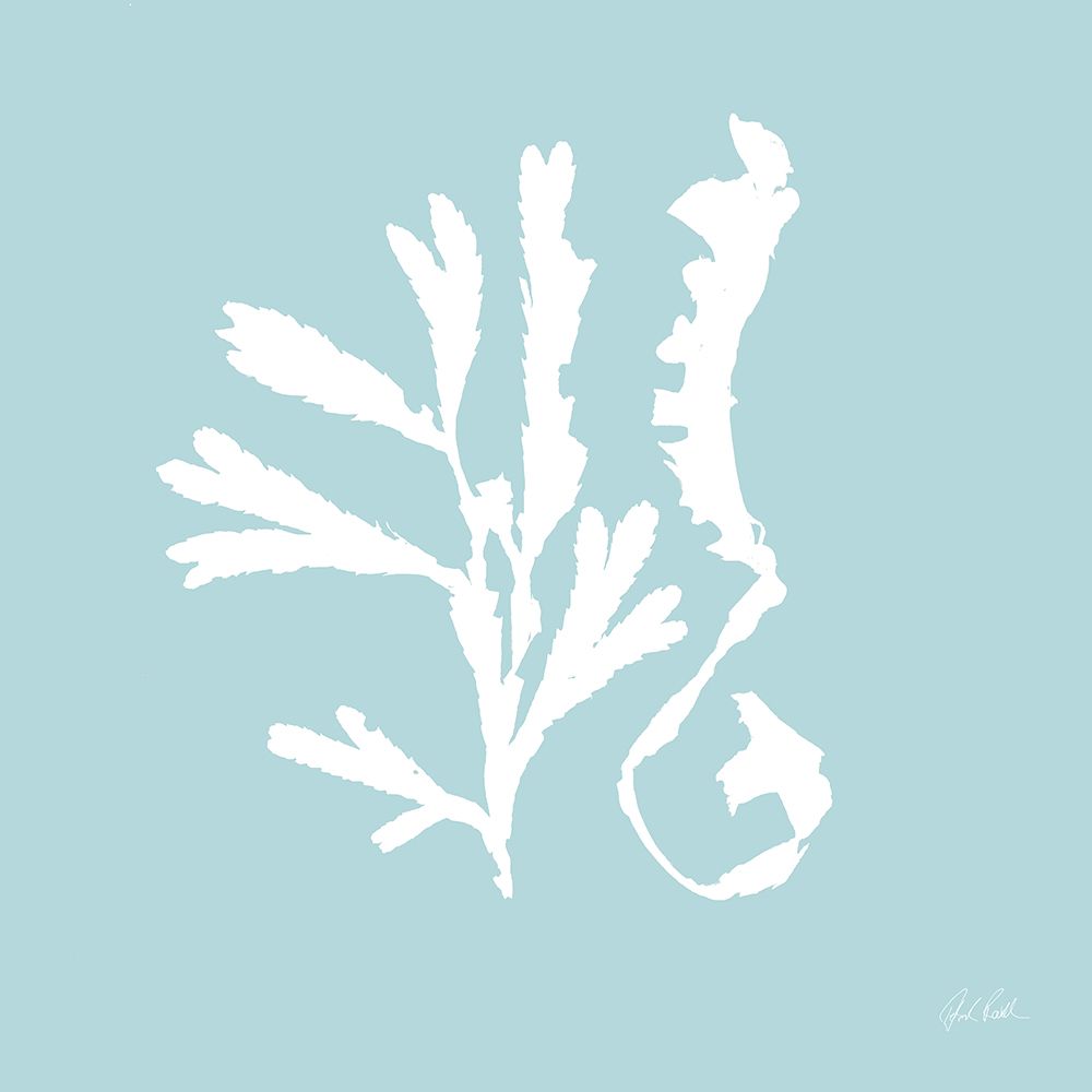 Seaweed II art print by Deborah Revell for $57.95 CAD