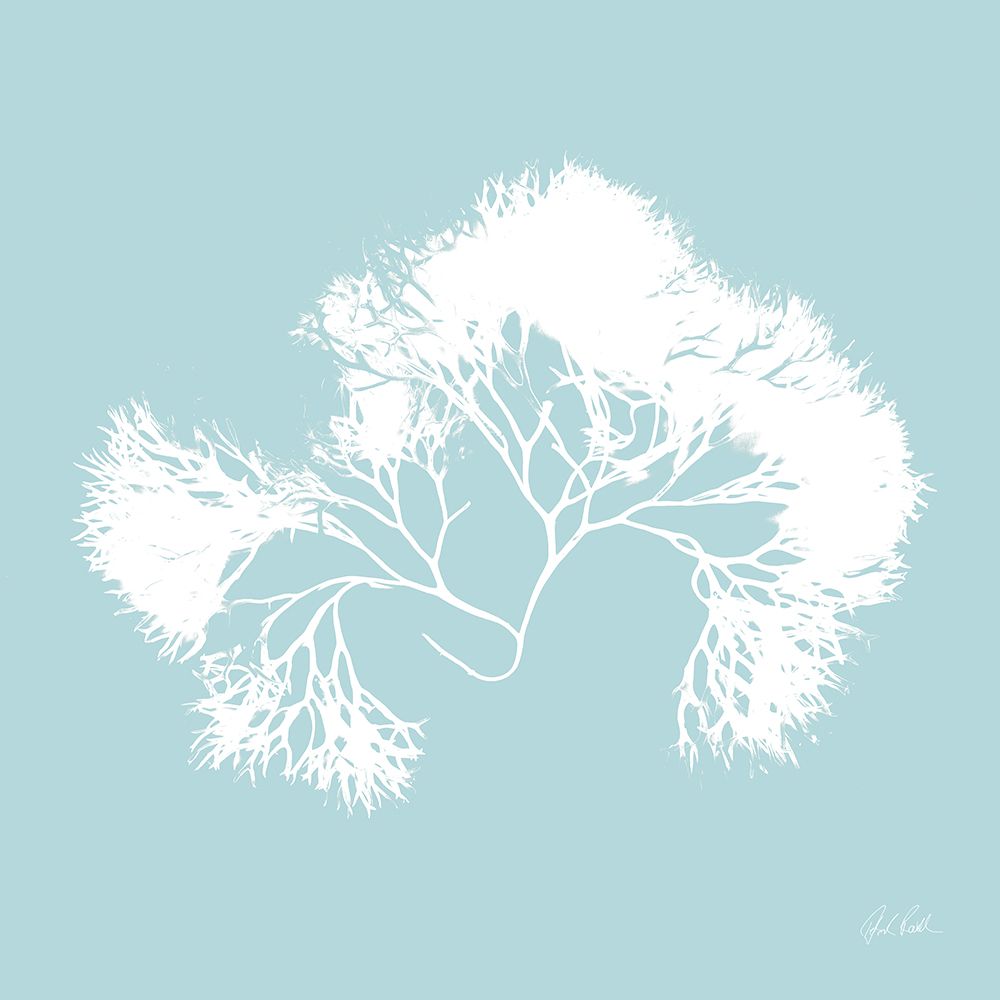 Seaweed III art print by Deborah Revell for $57.95 CAD