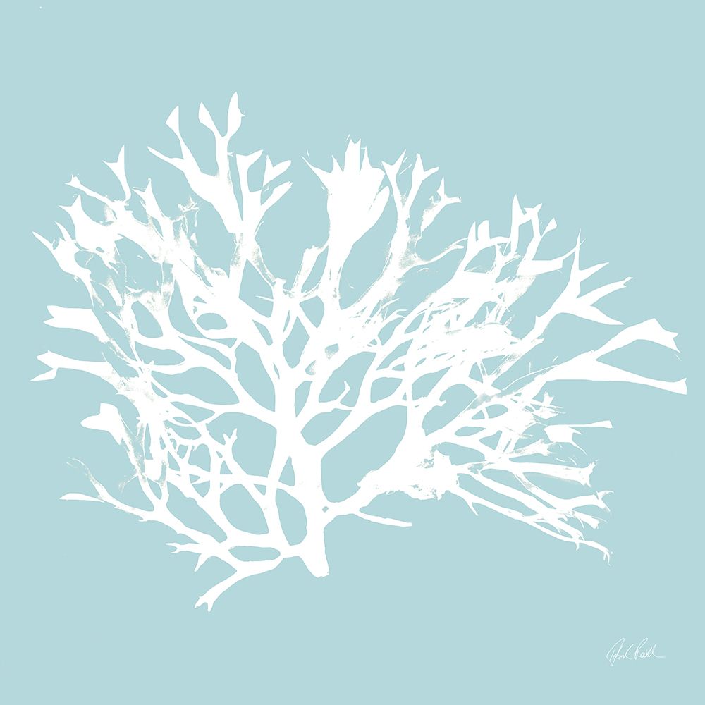 Seaweed IV art print by Deborah Revell for $57.95 CAD
