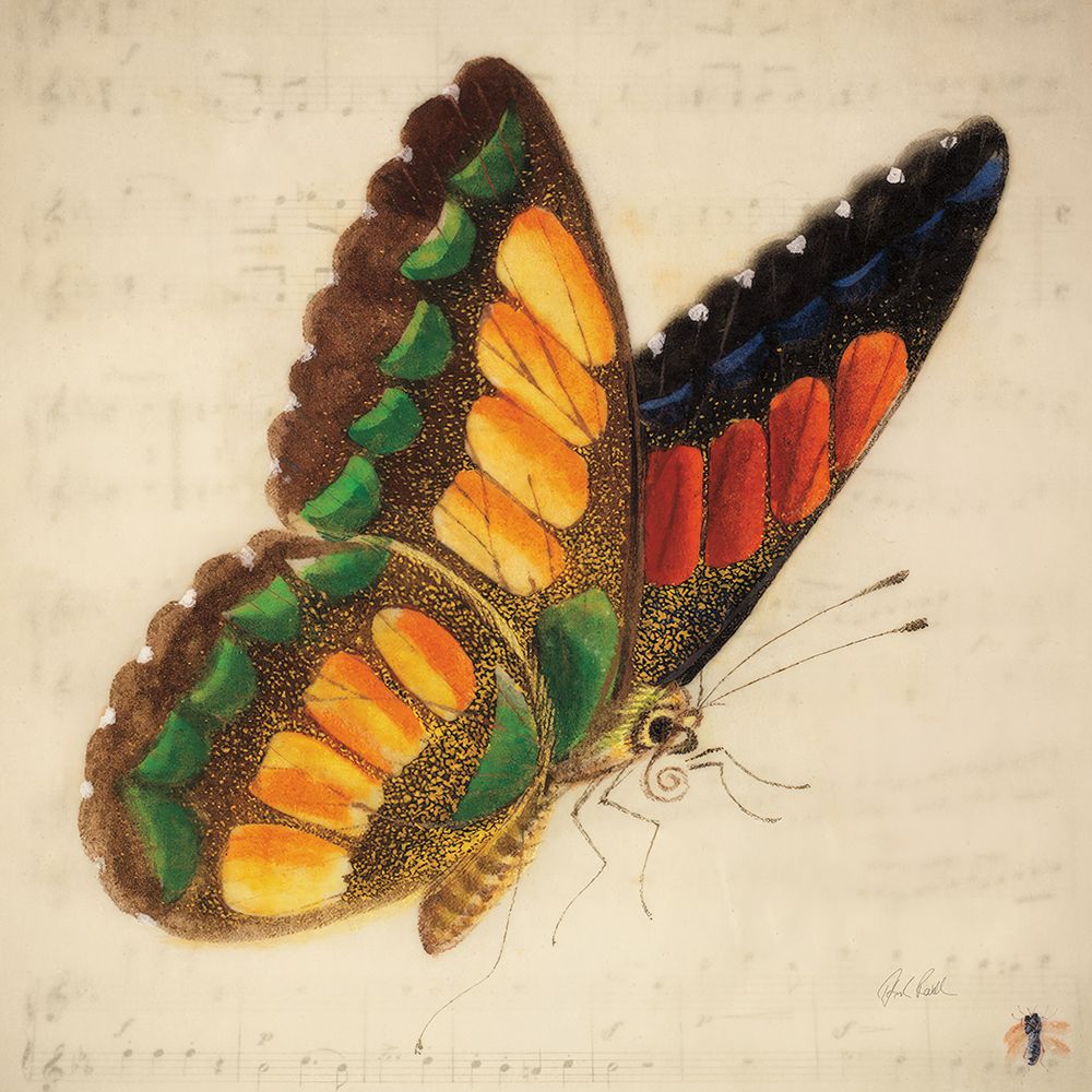 Vintage Yellow Butterfly art print by Deborah Revell for $57.95 CAD