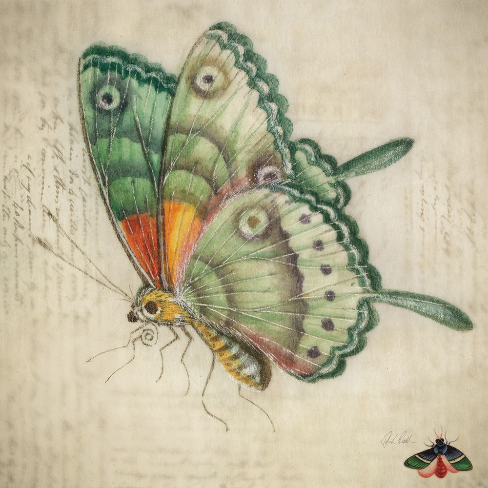 Vintage Aqua Butterfly art print by Deborah Revell for $57.95 CAD