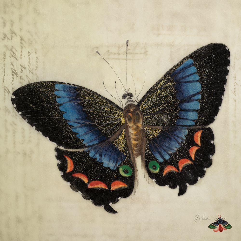 Vintage Blue Butterfly art print by Deborah Revell for $57.95 CAD