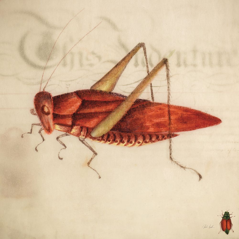 Vintage Red Grasshopper art print by Deborah Revell for $57.95 CAD