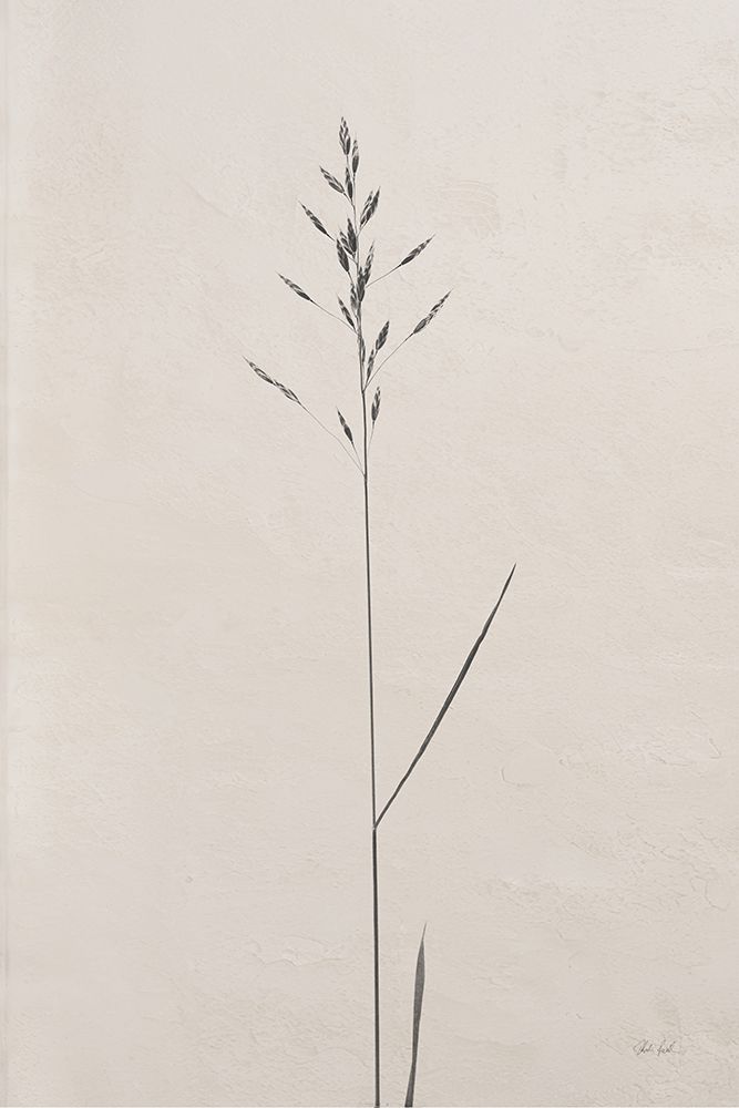 Wheat Grass I art print by Deborah Revell for $57.95 CAD