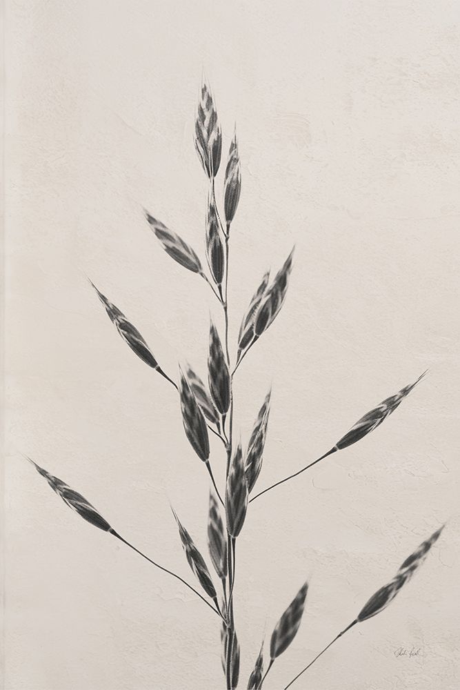 Wheat Grass II art print by Deborah Revell for $57.95 CAD