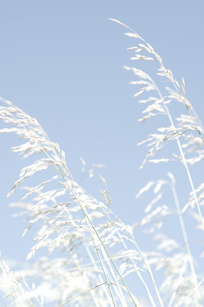 Blue Breeze art print by Deborah Revell for $57.95 CAD