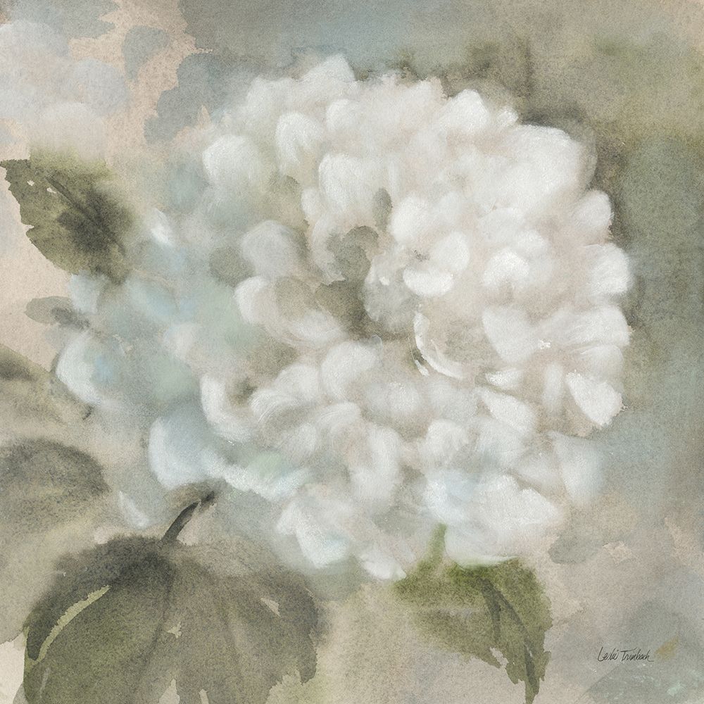 Soft Hydrangea art print by Leslie Trimbach for $57.95 CAD