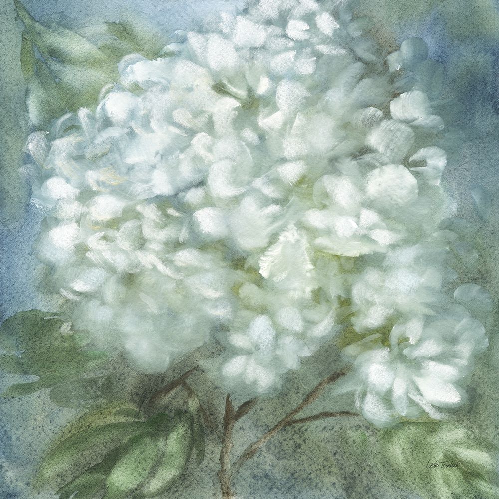 Twilight Hydrangea art print by Leslie Trimbach for $57.95 CAD