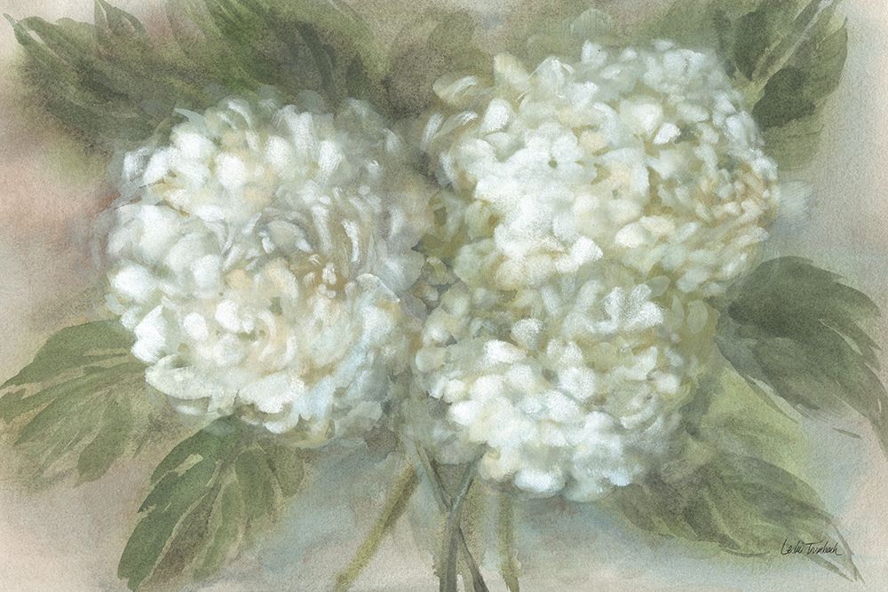 Hydrangea Bouquet art print by Leslie Trimbach for $57.95 CAD