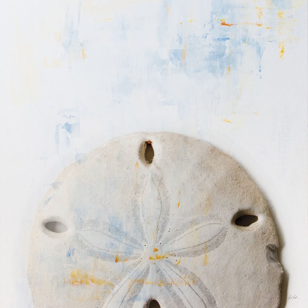 Sand Dollar art print by Deborah Revell for $57.95 CAD