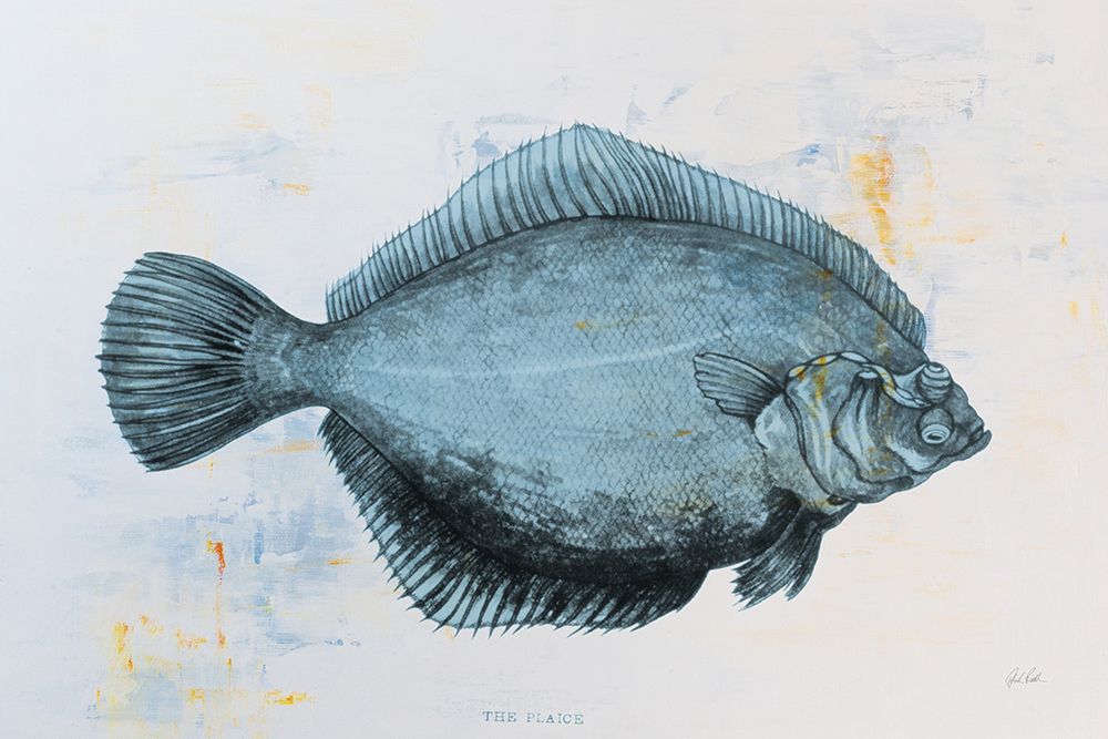 The Plaice art print by Deborah Revell for $57.95 CAD