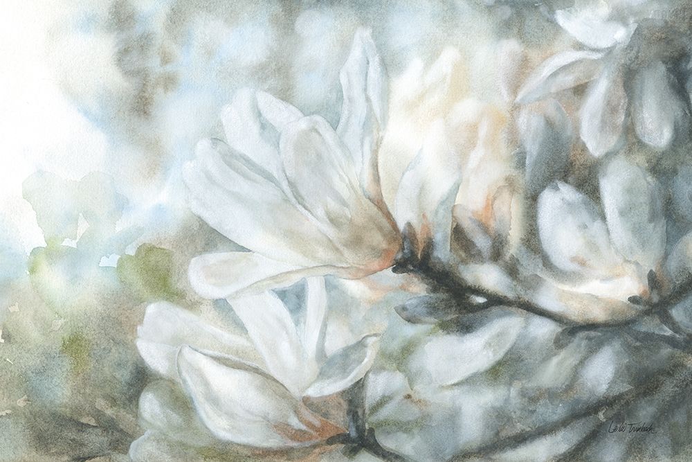 Magnolia art print by Leslie Trimbach for $57.95 CAD