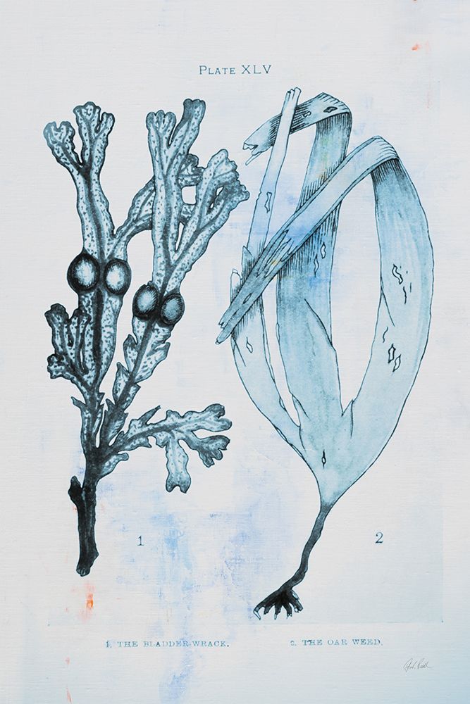 Blue Bay I art print by Deborah Revell for $57.95 CAD