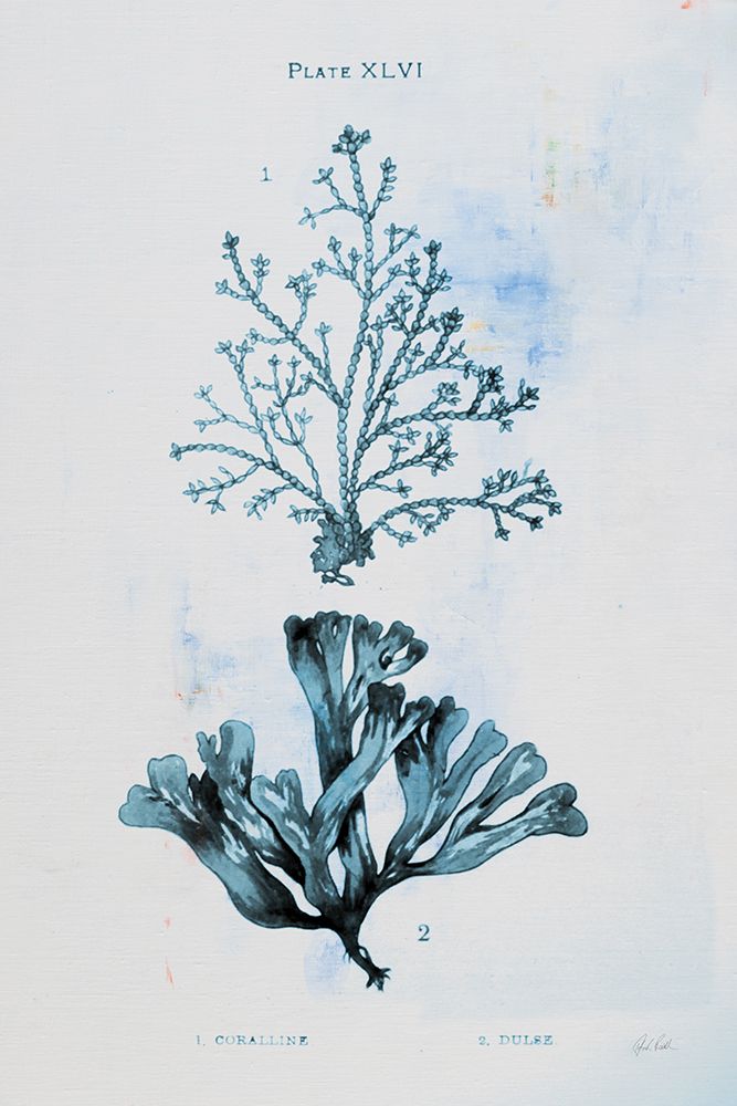 Blue Bay VIII art print by Deborah Revell for $57.95 CAD