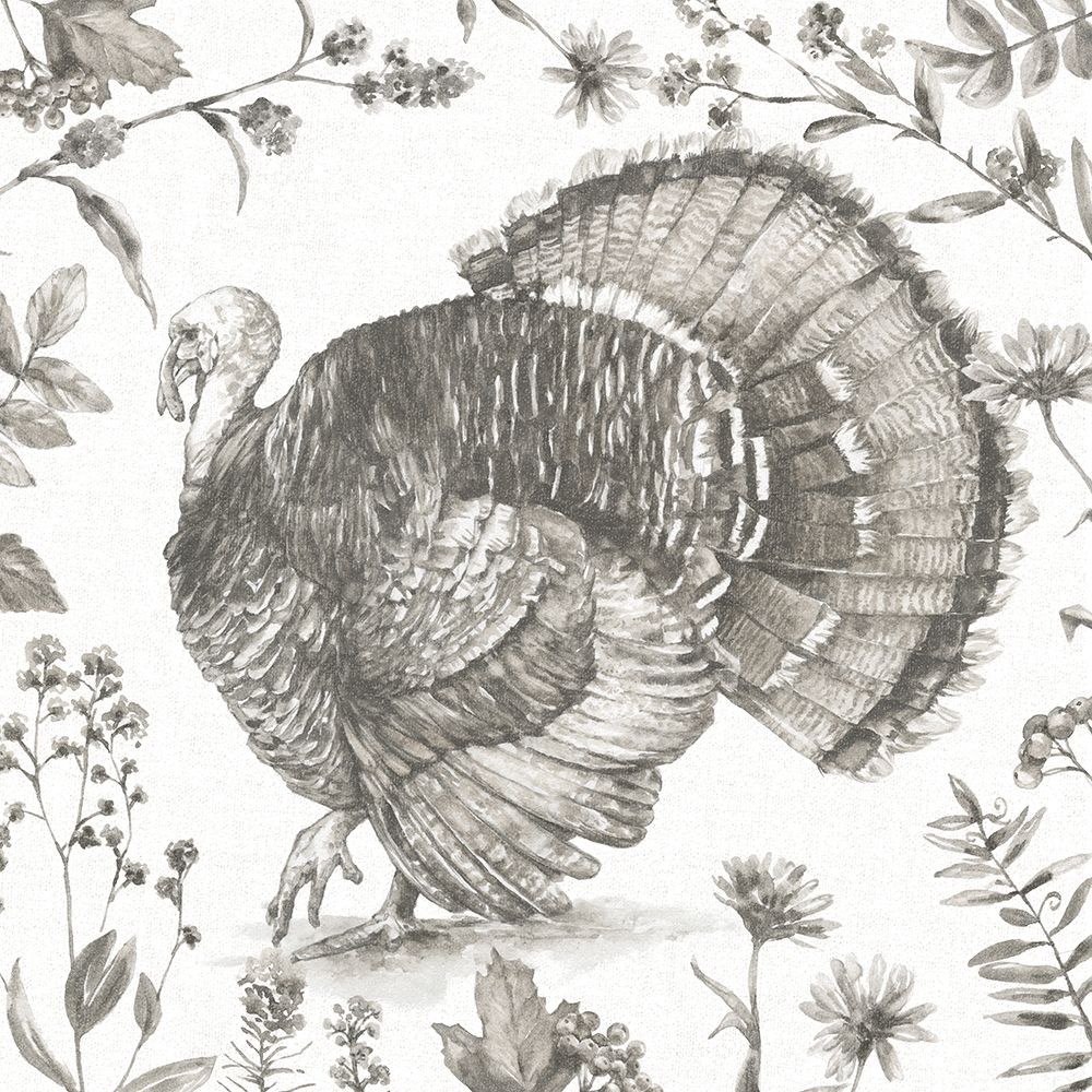 Bountiful Harvest I Sketch art print by Leslie Trimbach for $57.95 CAD