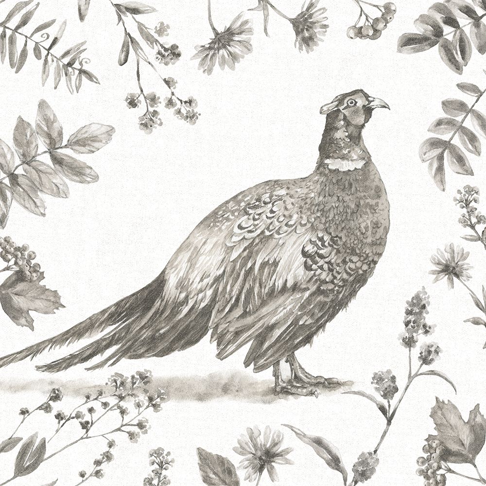 Bountiful Harvest II Sketch art print by Leslie Trimbach for $57.95 CAD