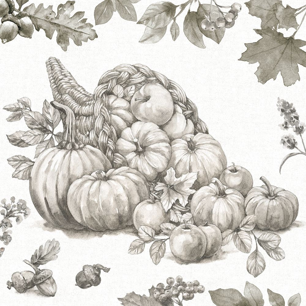 Bountiful Harvest III Sketch art print by Leslie Trimbach for $57.95 CAD