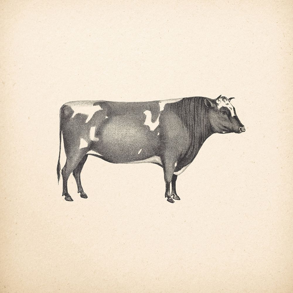 Down on the Farm I No Words art print by Wild Apple Portfolio for $57.95 CAD