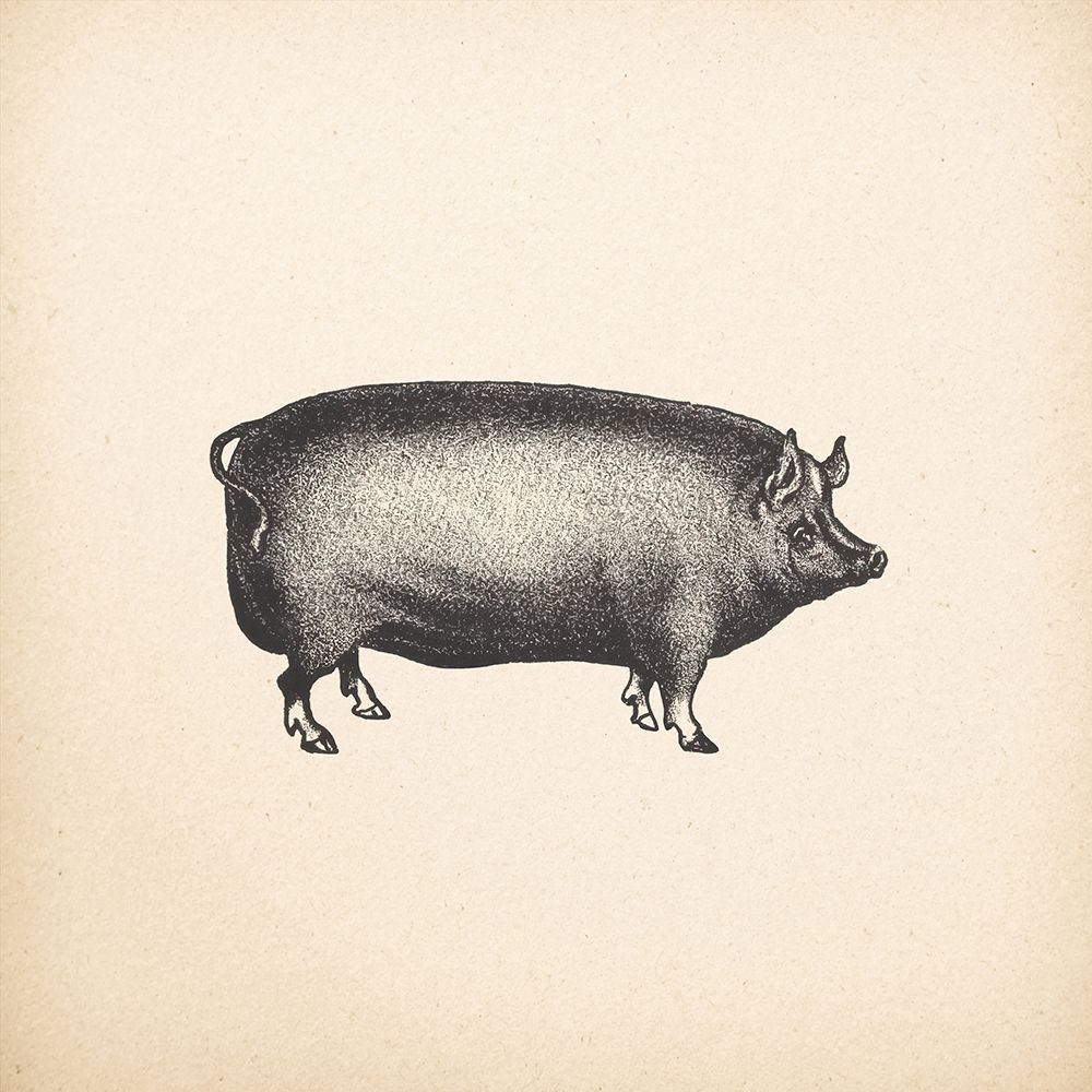 Down on the Farm III No Words art print by Wild Apple Portfolio for $57.95 CAD