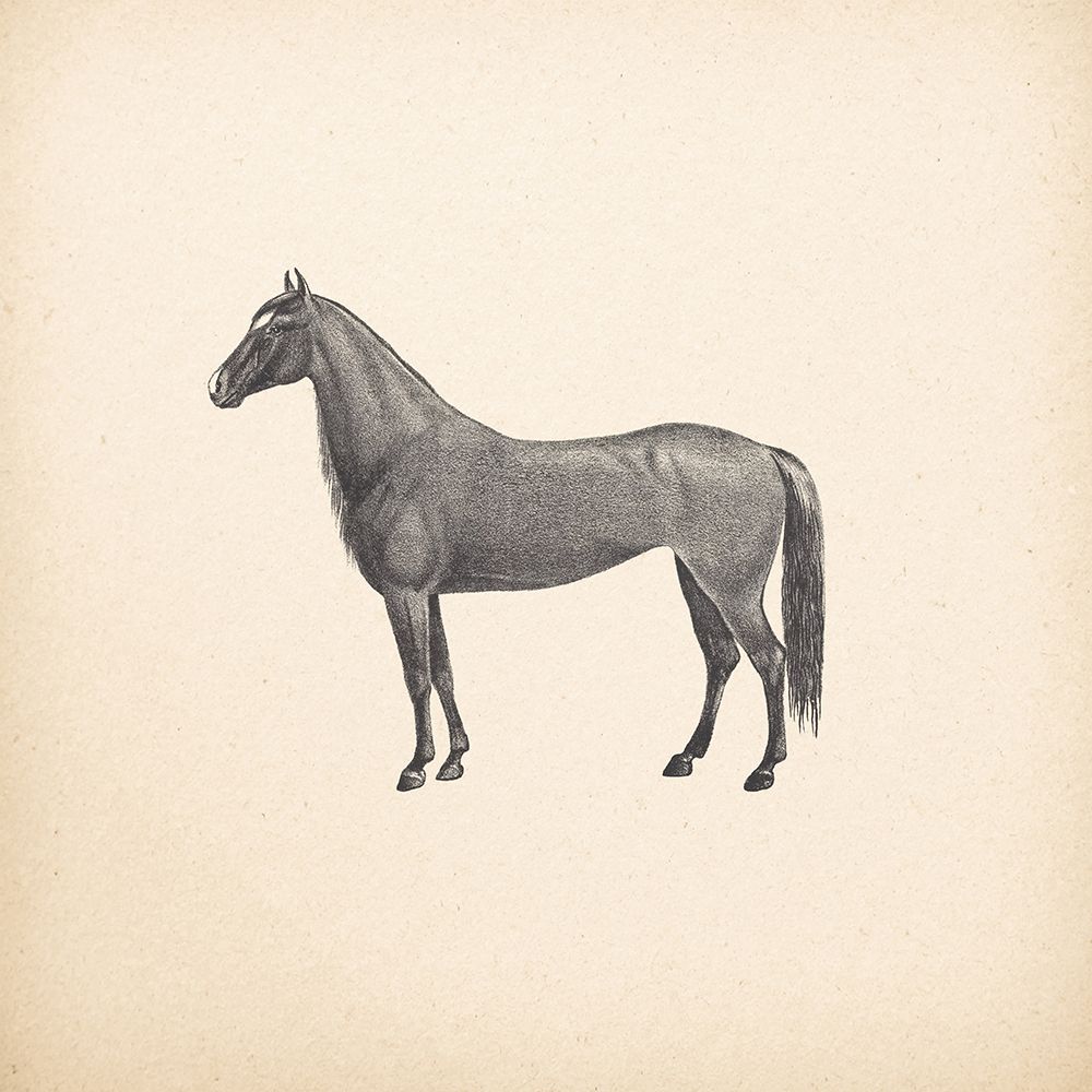Down on the Farm IV No Words art print by Wild Apple Portfolio for $57.95 CAD