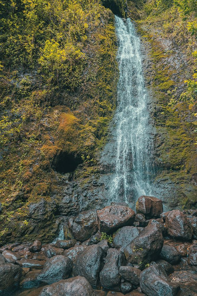 Hawaiian Hideaway art print by Max Blakesberg Studios for $57.95 CAD