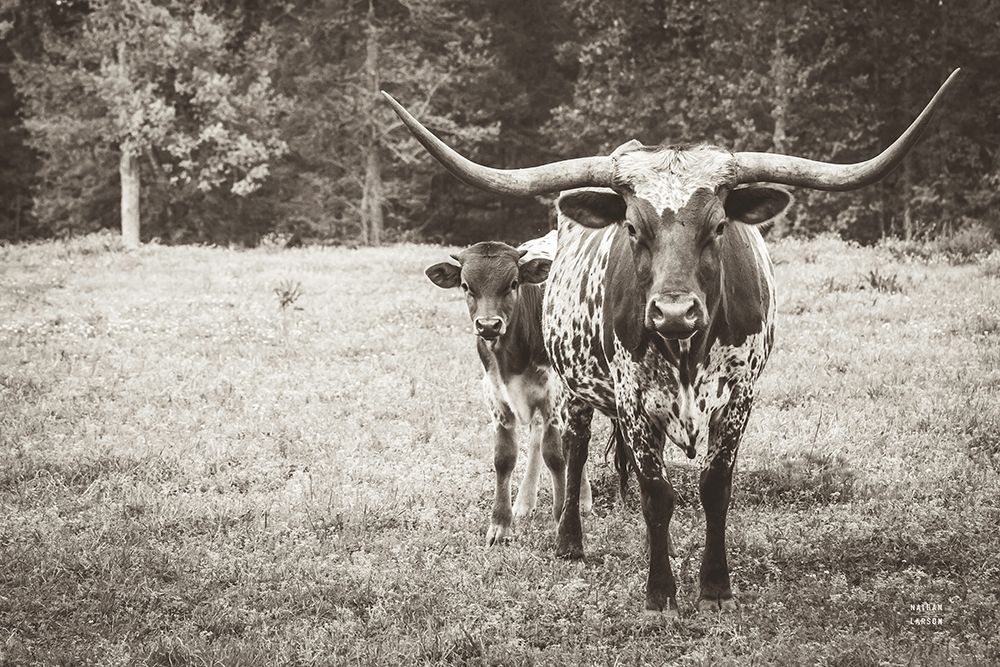 Longhorn Protection Sepia art print by Nathan Larson for $57.95 CAD