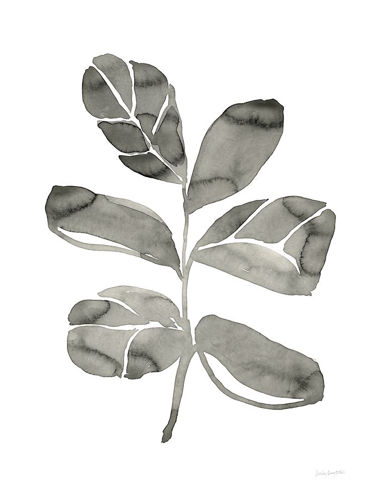 Fiddle Leaf IV art print by Haley Knighten for $57.95 CAD