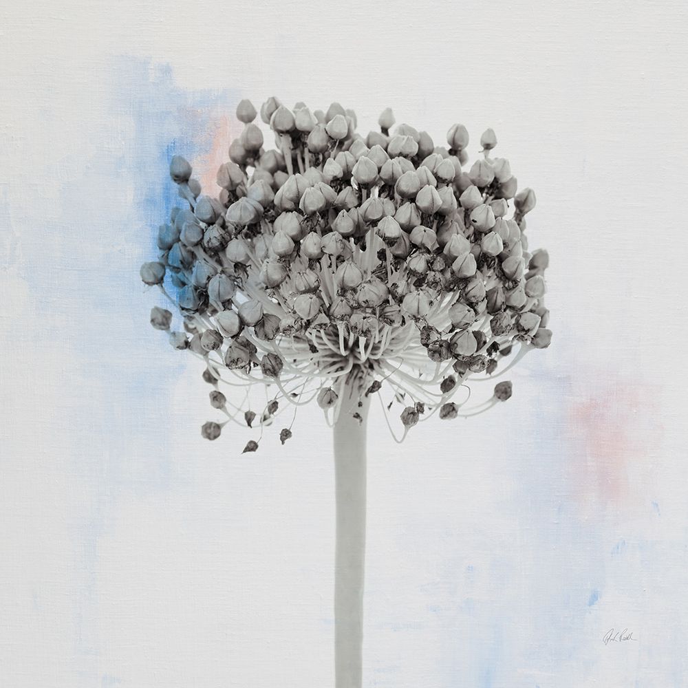 Agapanthus II art print by Deborah Revell for $57.95 CAD