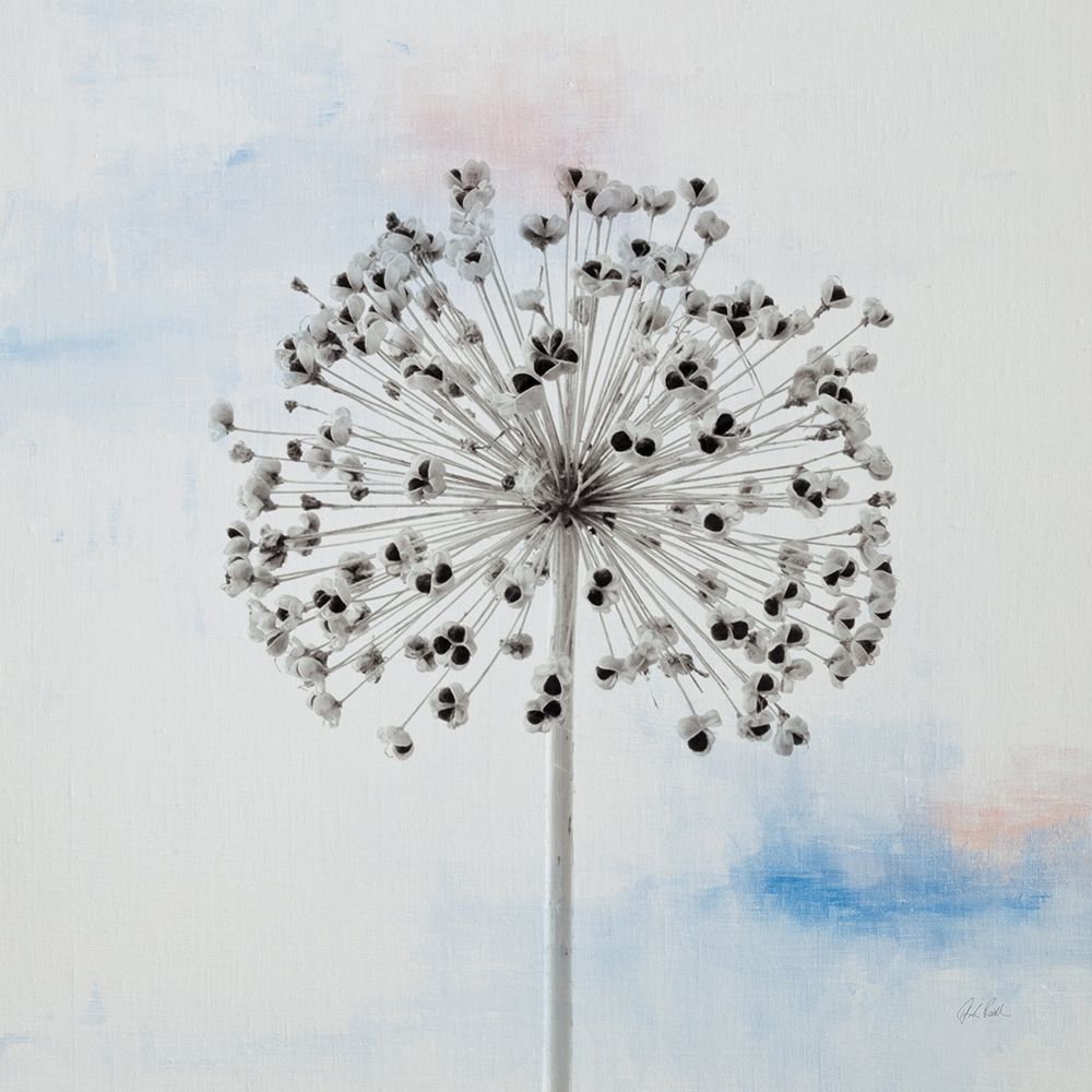 Agapanthus III art print by Deborah Revell for $57.95 CAD