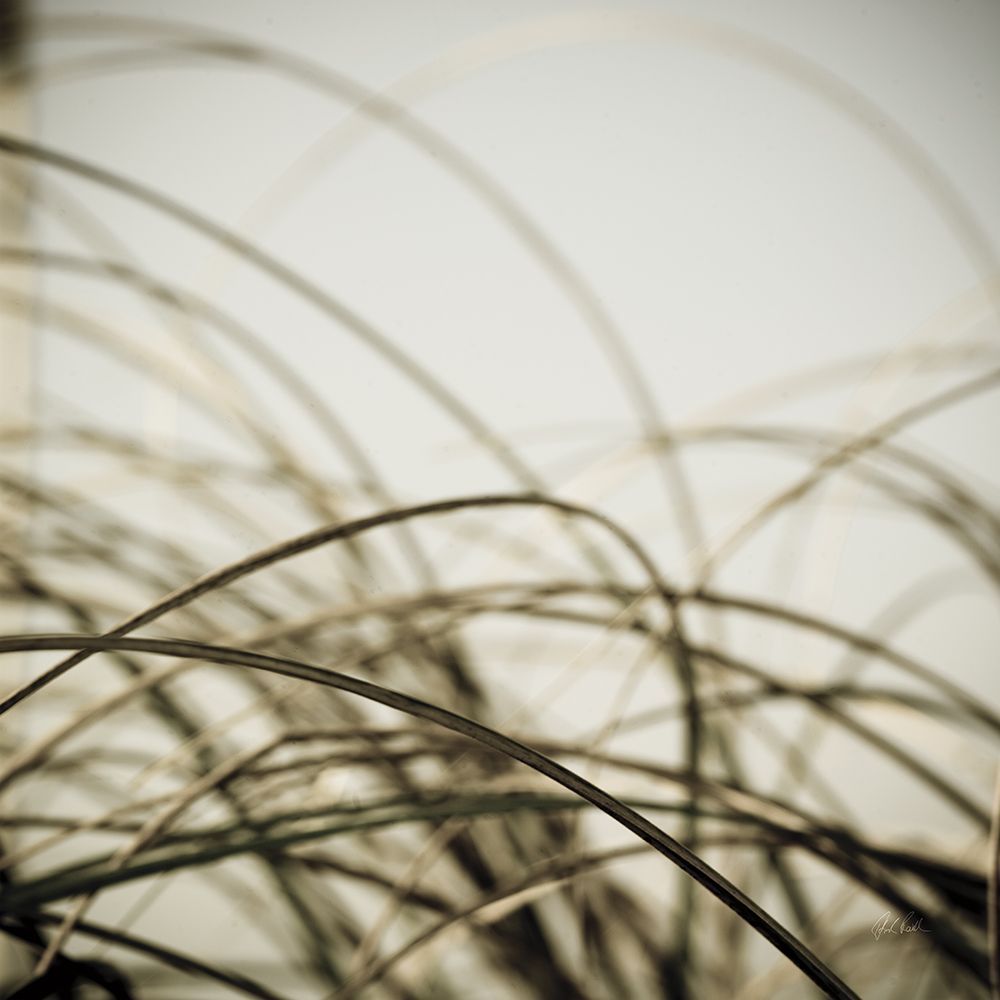 Beach Grass I art print by Deborah Revell for $57.95 CAD