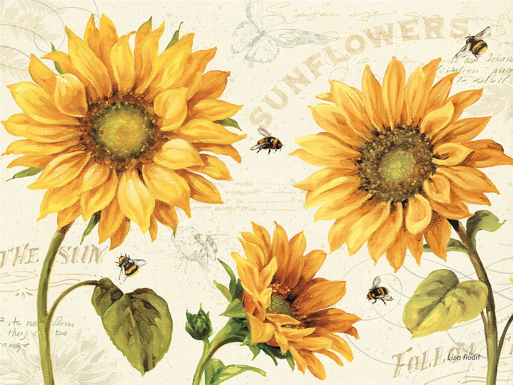 Under the Sun III art print by Lisa Audit for $57.95 CAD