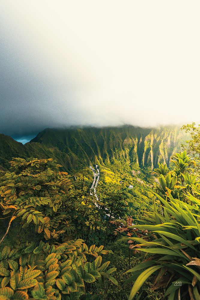 Hawaiian Tropics art print by Max Blakesberg Studios for $57.95 CAD