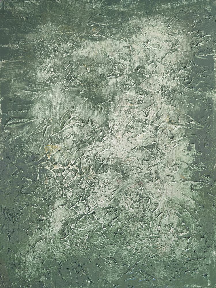 Forest Floor I art print by Sarah Adams for $57.95 CAD
