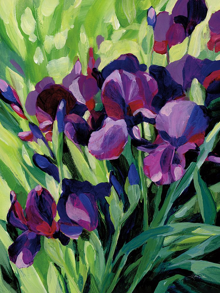 Purple Iris art print by Katrina Pete for $57.95 CAD
