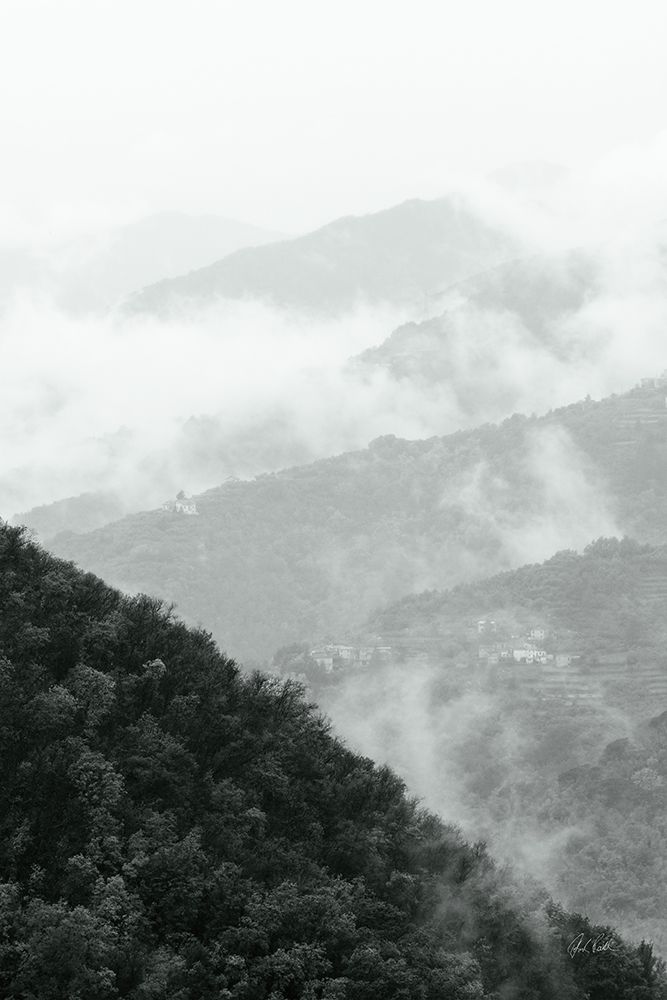 Morning Mist I art print by Deborah Revell for $57.95 CAD