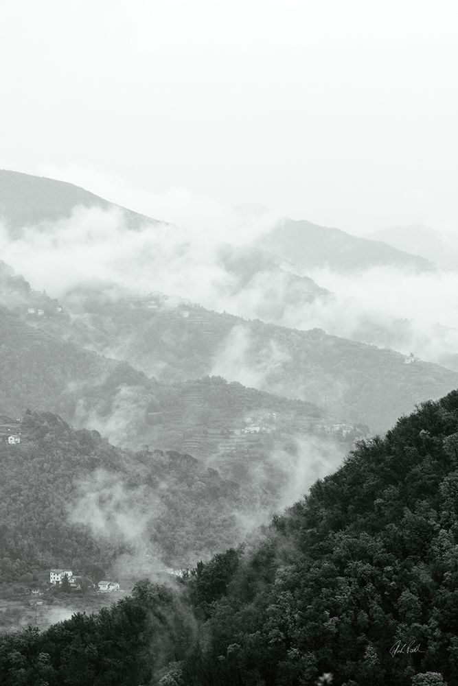 Morning Mist II art print by Deborah Revell for $57.95 CAD