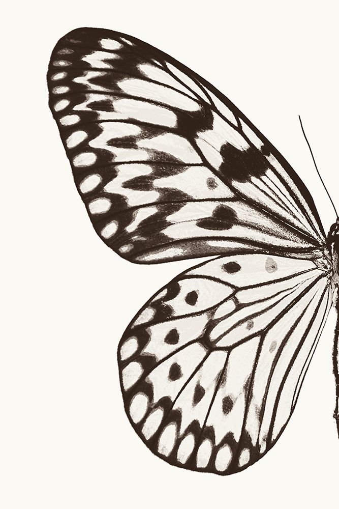 nan art print by Debra Van Swearingen for $57.95 CAD