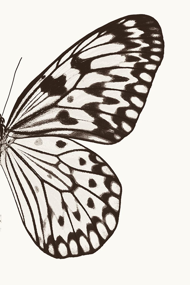 nan art print by Debra Van Swearingen for $57.95 CAD