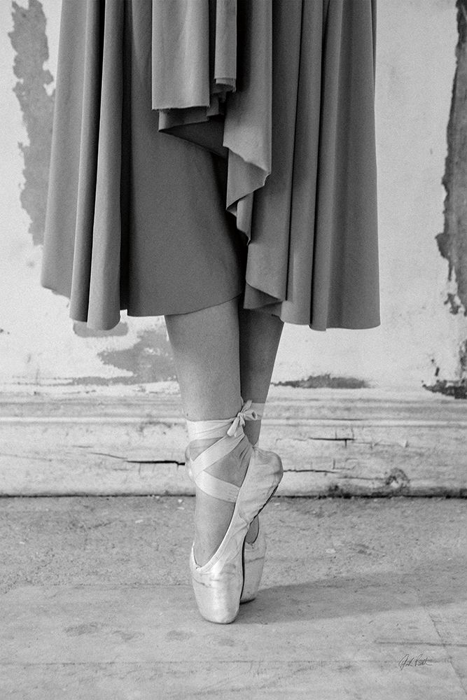 Ballet II art print by Deborah Revell for $57.95 CAD