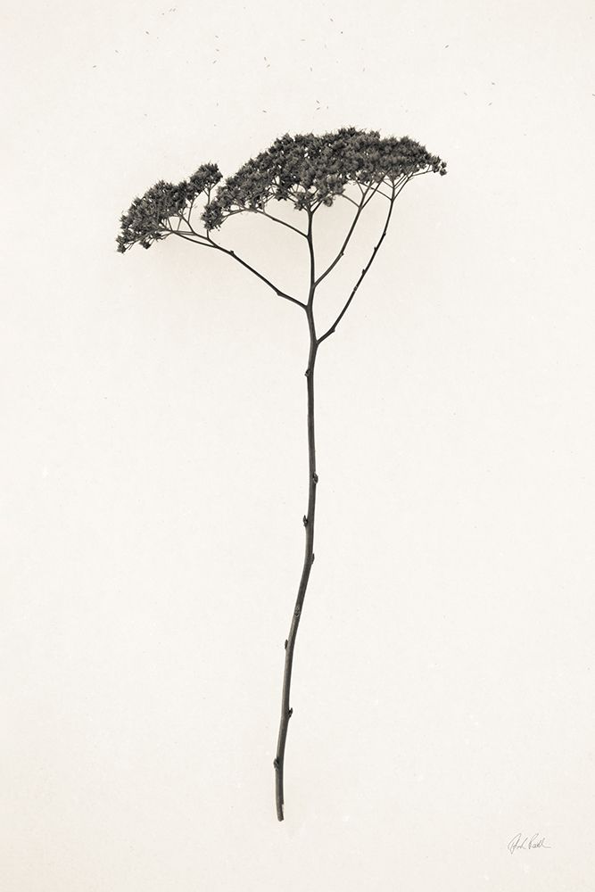Sleek Simplicity II art print by Deborah Revell for $57.95 CAD