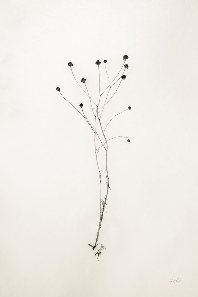 Sleek Simplicity IV art print by Deborah Revell for $57.95 CAD