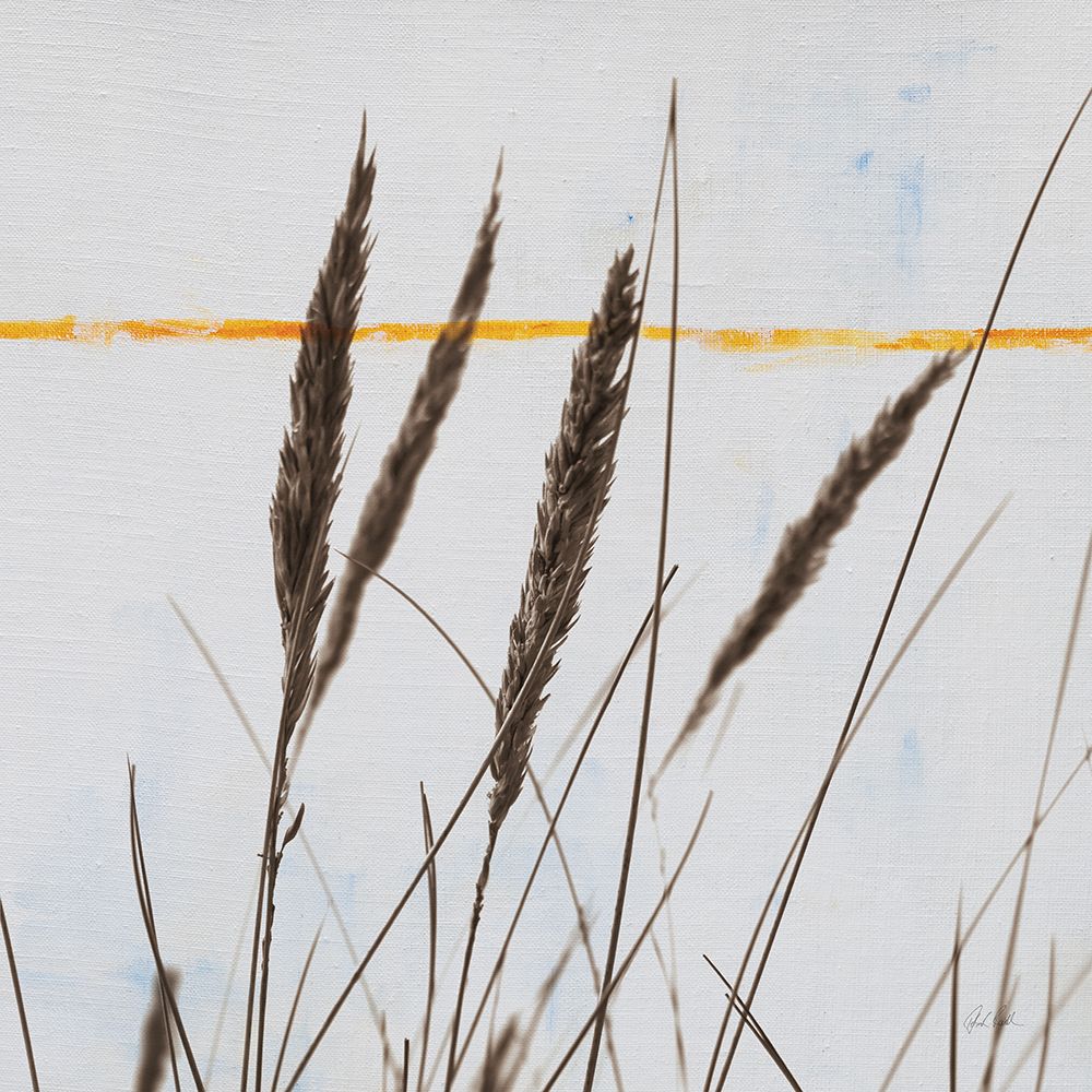 Sea Grass I art print by Deborah Revell for $57.95 CAD