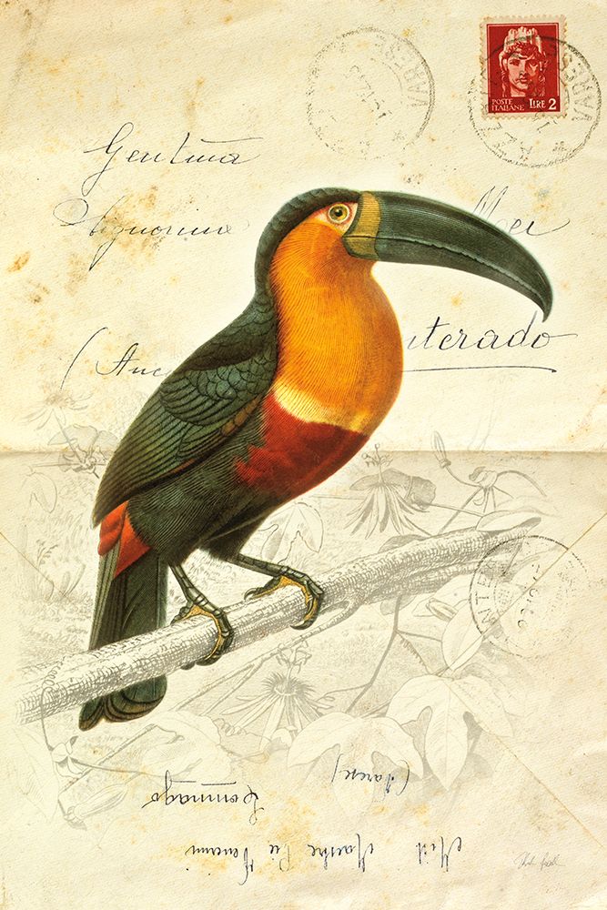 Pretty Bird I art print by Deborah Revell for $57.95 CAD