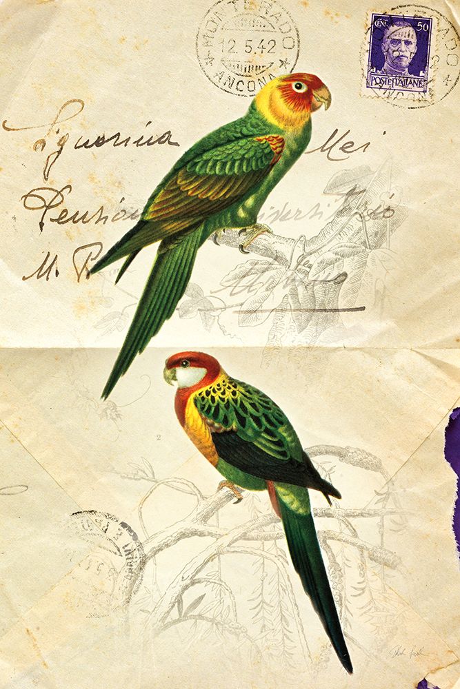 Pretty Bird III art print by Deborah Revell for $57.95 CAD