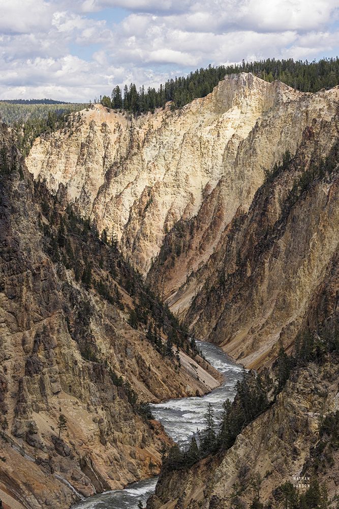Yellowstone Summer art print by Nathan Larson for $57.95 CAD
