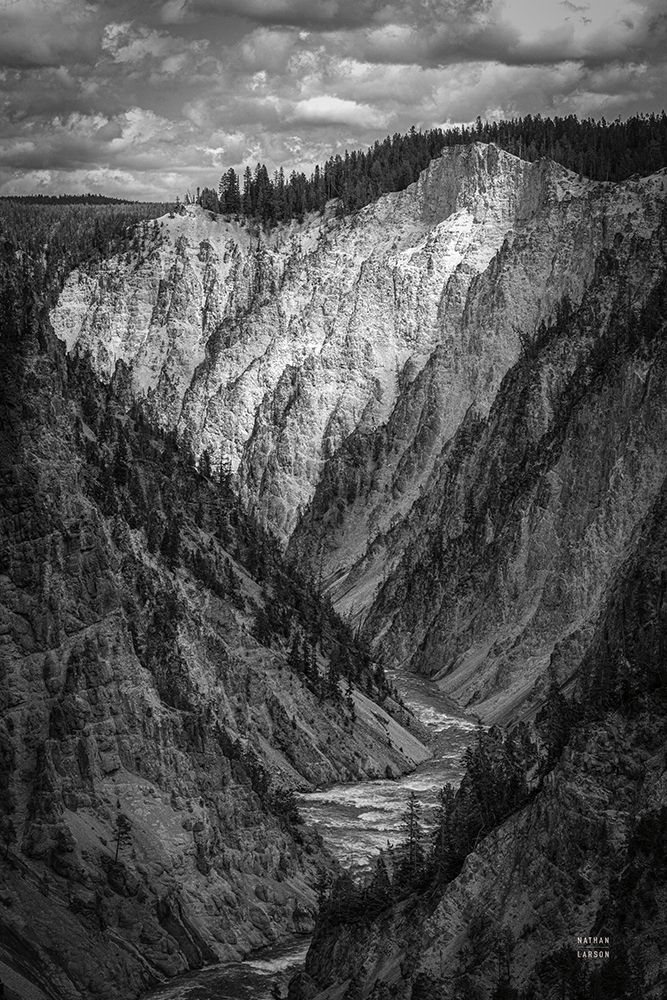 Yellowstone Summers Black and White art print by Nathan Larson for $57.95 CAD