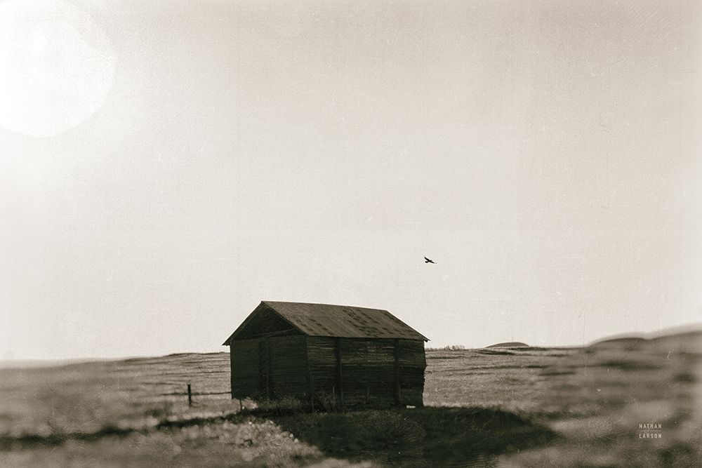 Barn Roost art print by Nathan Larson for $57.95 CAD