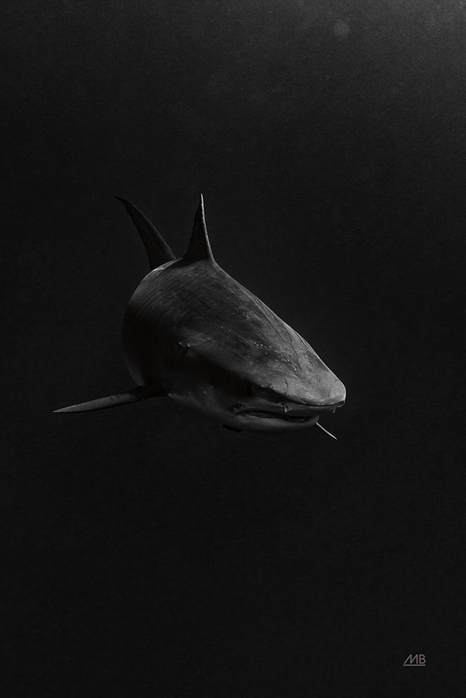In the Depths art print by Max Blakesberg Studios for $57.95 CAD