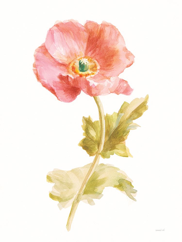 Garden Poppy on White art print by Danhui Nai for $57.95 CAD
