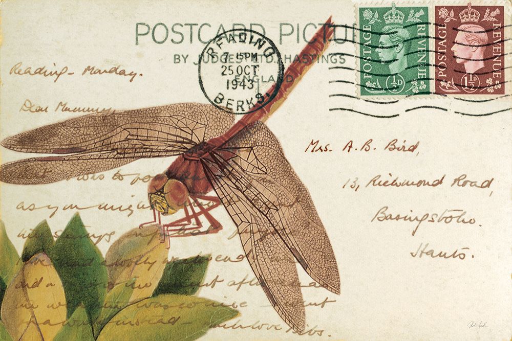 Dragonfly Postcard II Cream art print by Deborah Revell for $57.95 CAD